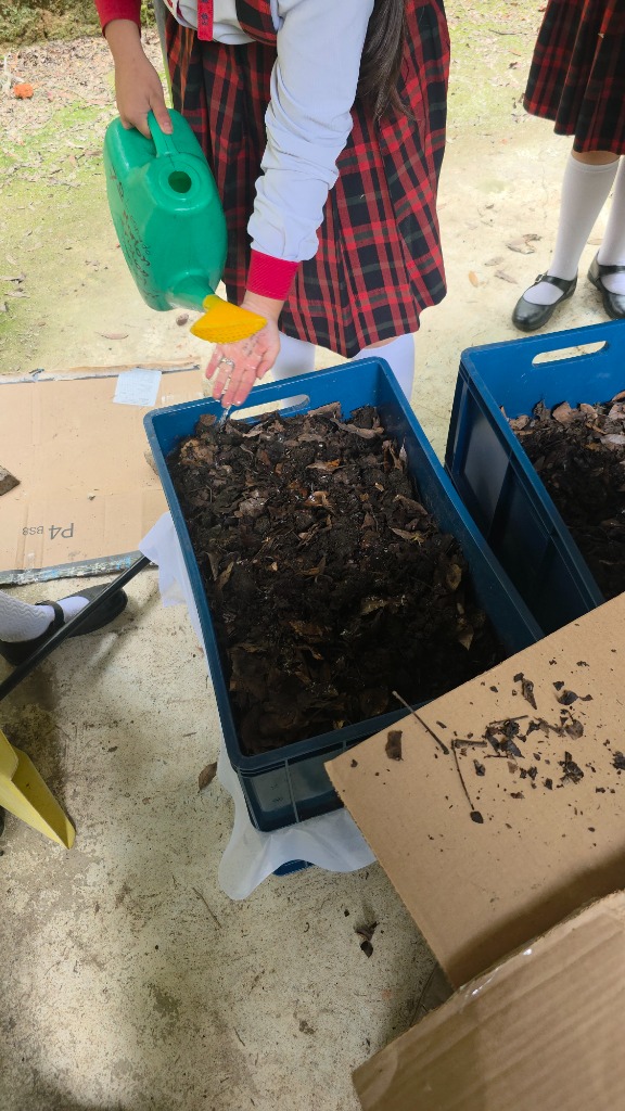 Estudiante regando y oxigenando los módulos de lombricultura